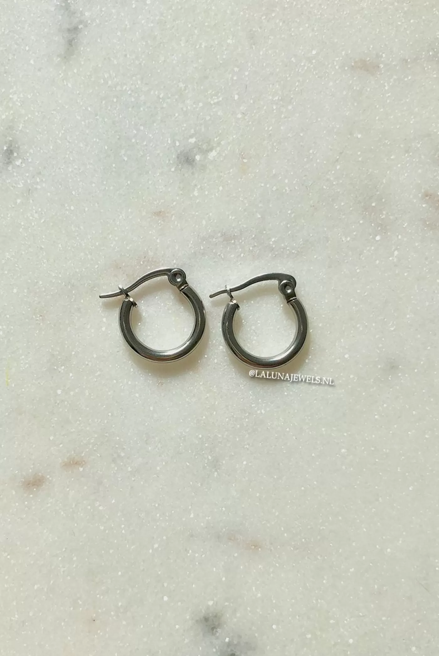 DISINO Silver - Small Circle Earrings | Vrouw Bags